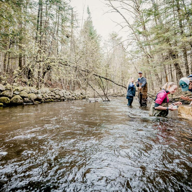 Environmental Sciences